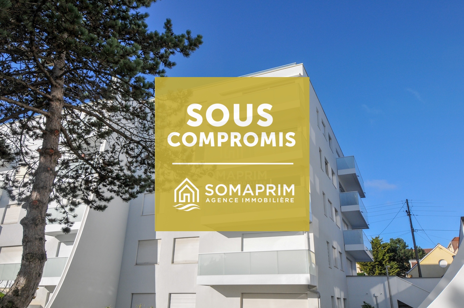 Appartement Ville : 8225>