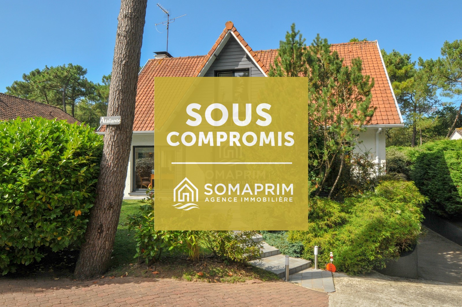 Villa Forêt : 8347>