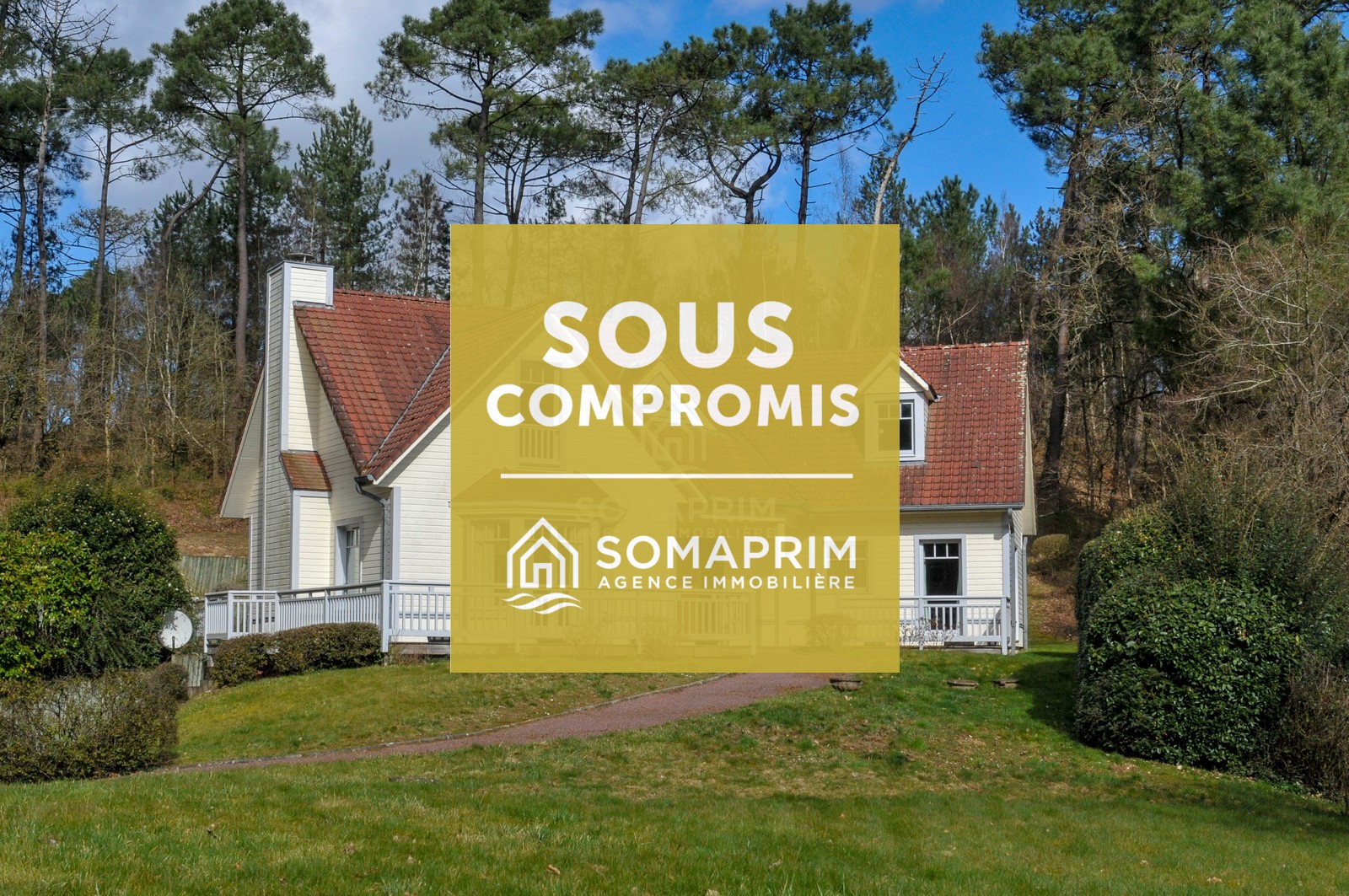 Villa For&ecirc;t : 8677>