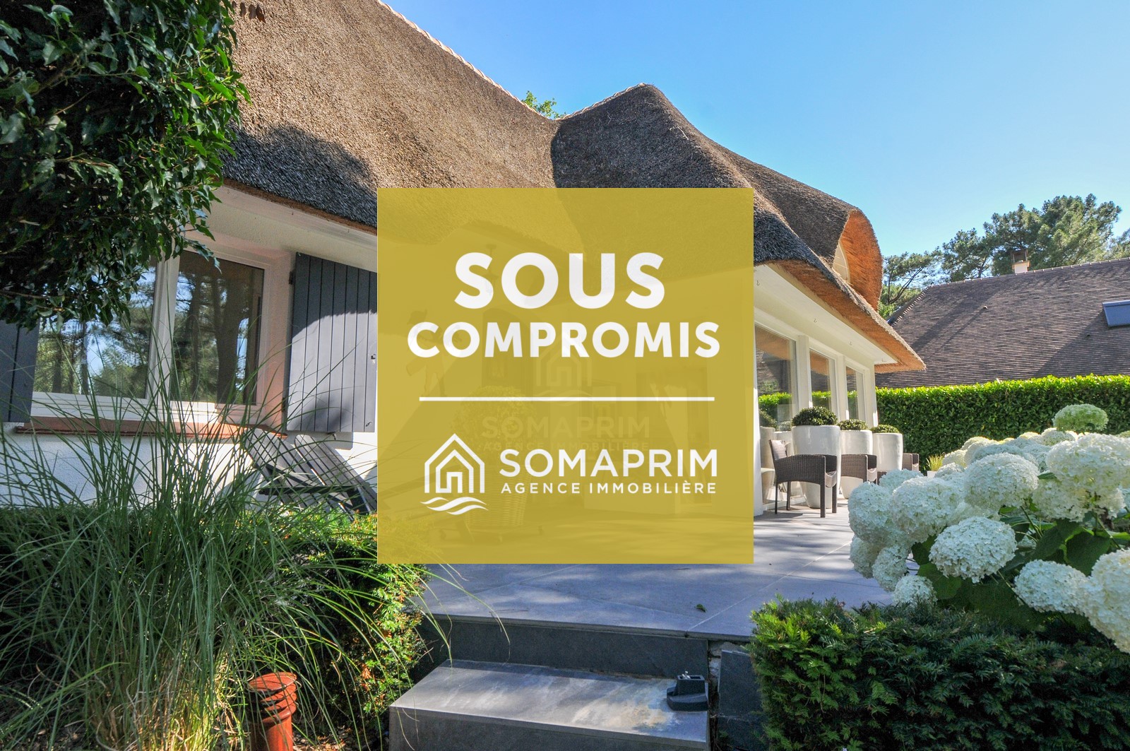 Villa Forêt : 8561>
