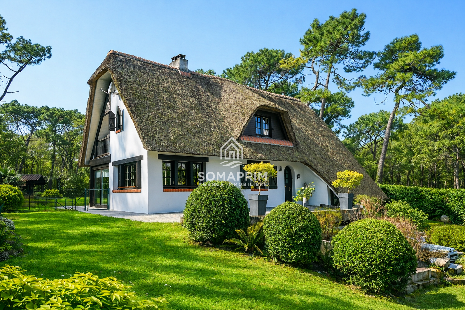 Villa For&ecirc;t : 8669>