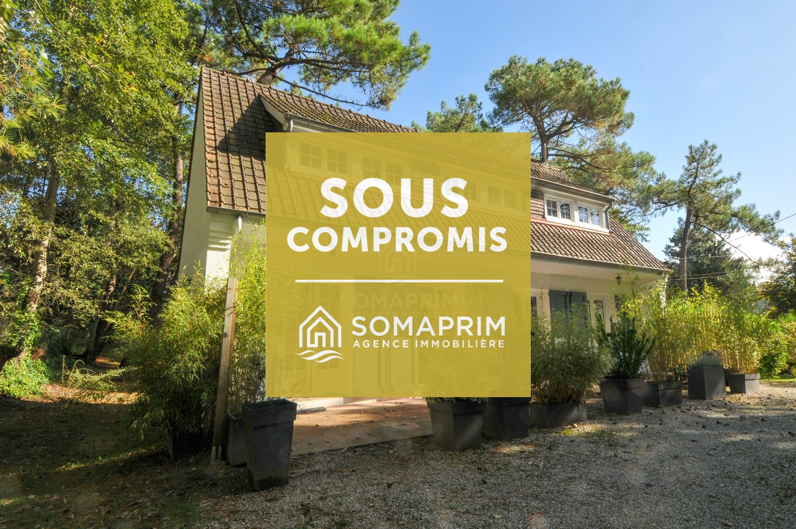 Villa Forêt : 8477>