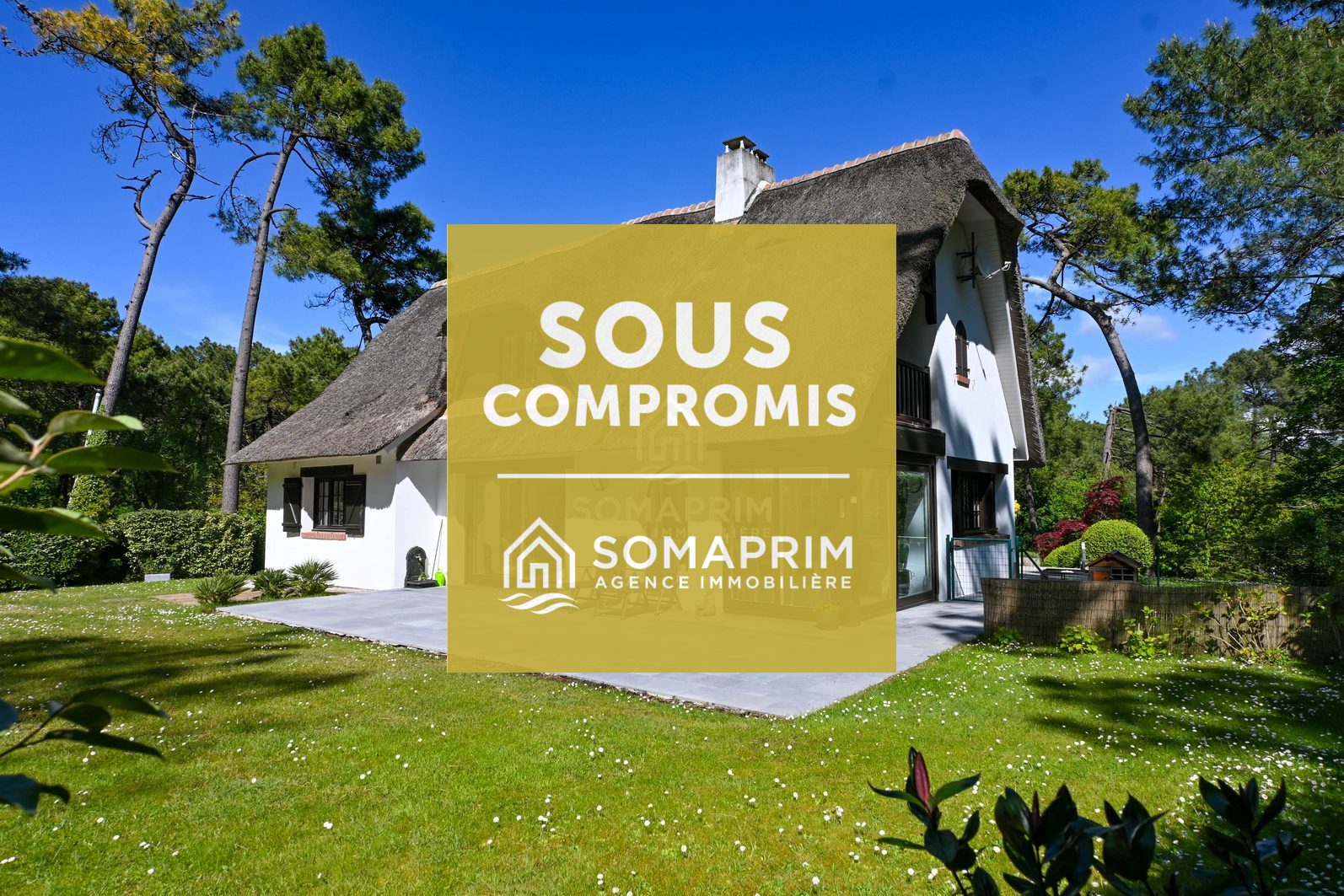 Villa For&ecirc;t : 8669>