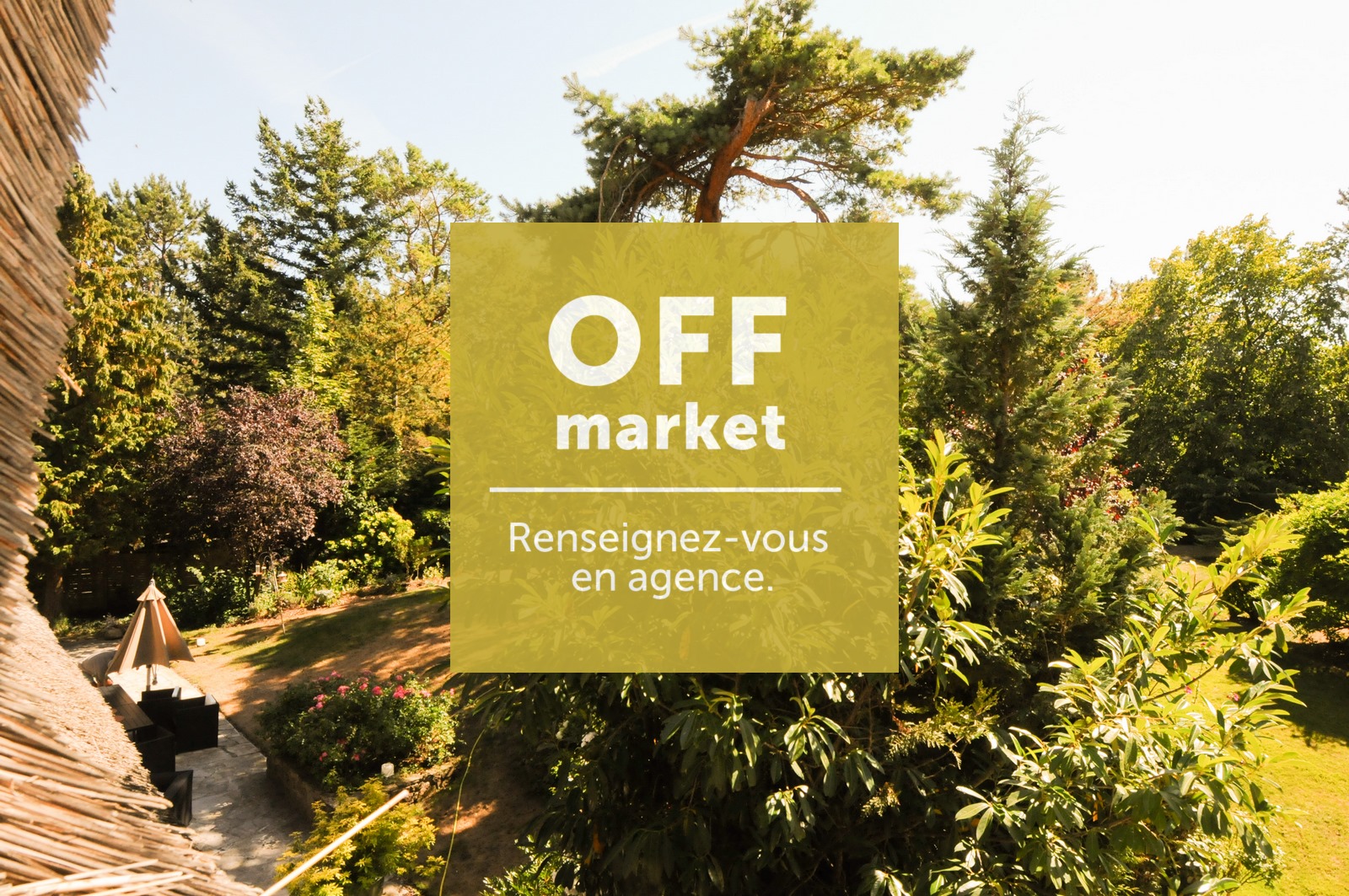 Appartement Forêt : 8207OFF>