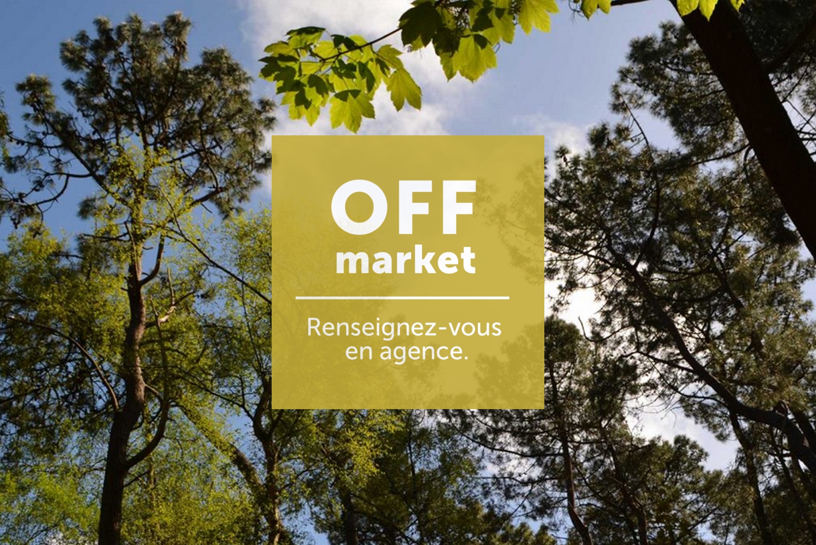 Villa Forêt : 8595 off>
