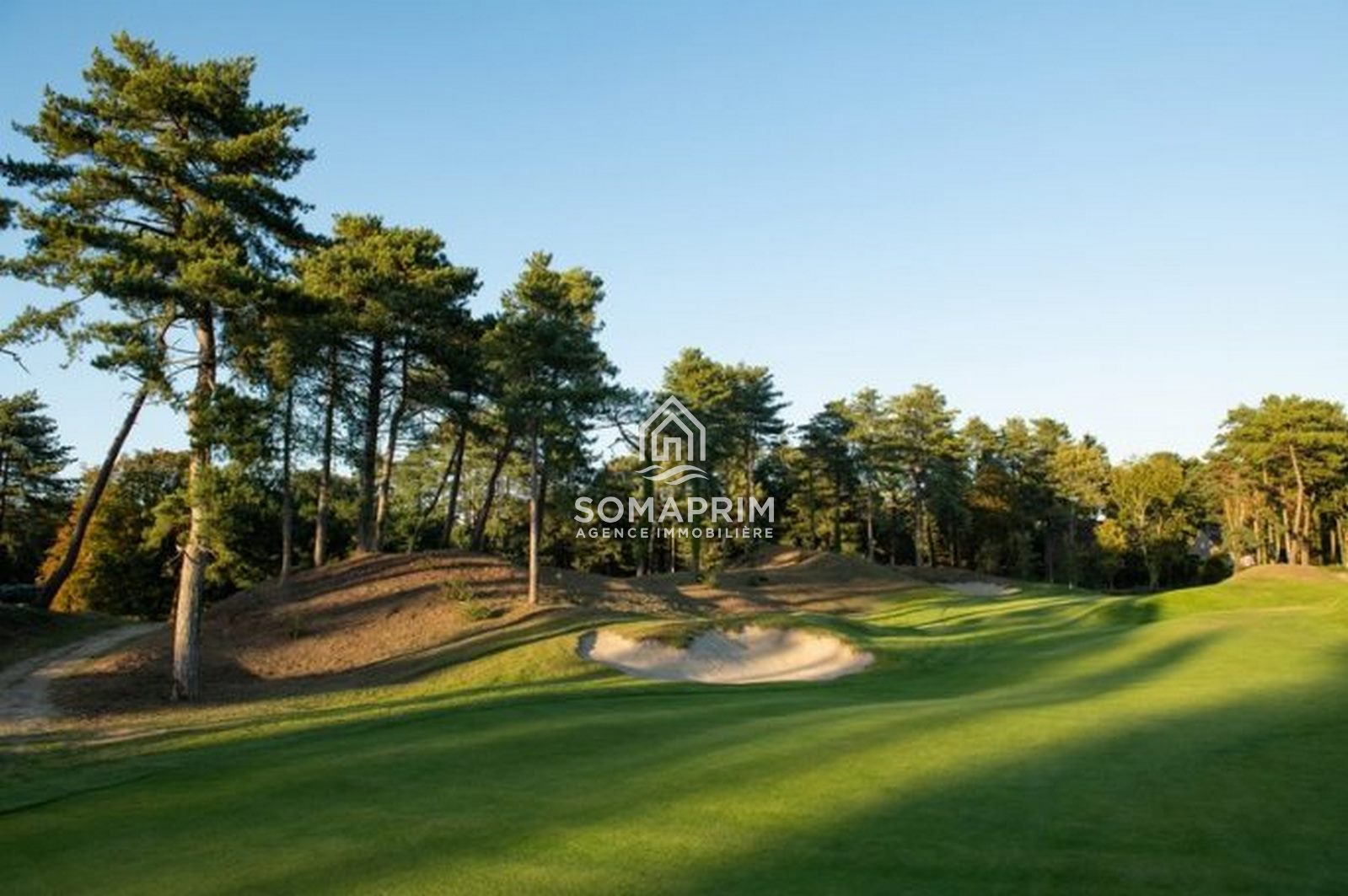 Villa Hardelot : 8613>