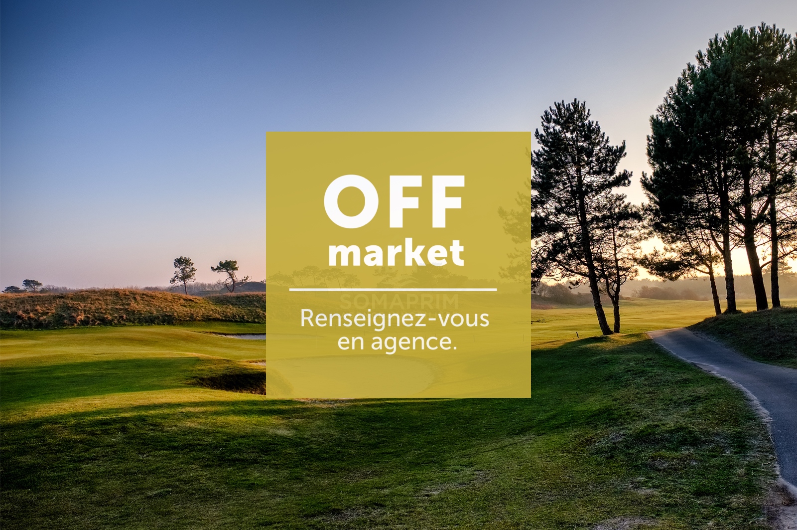 Villa Forêt : 8426OFF>