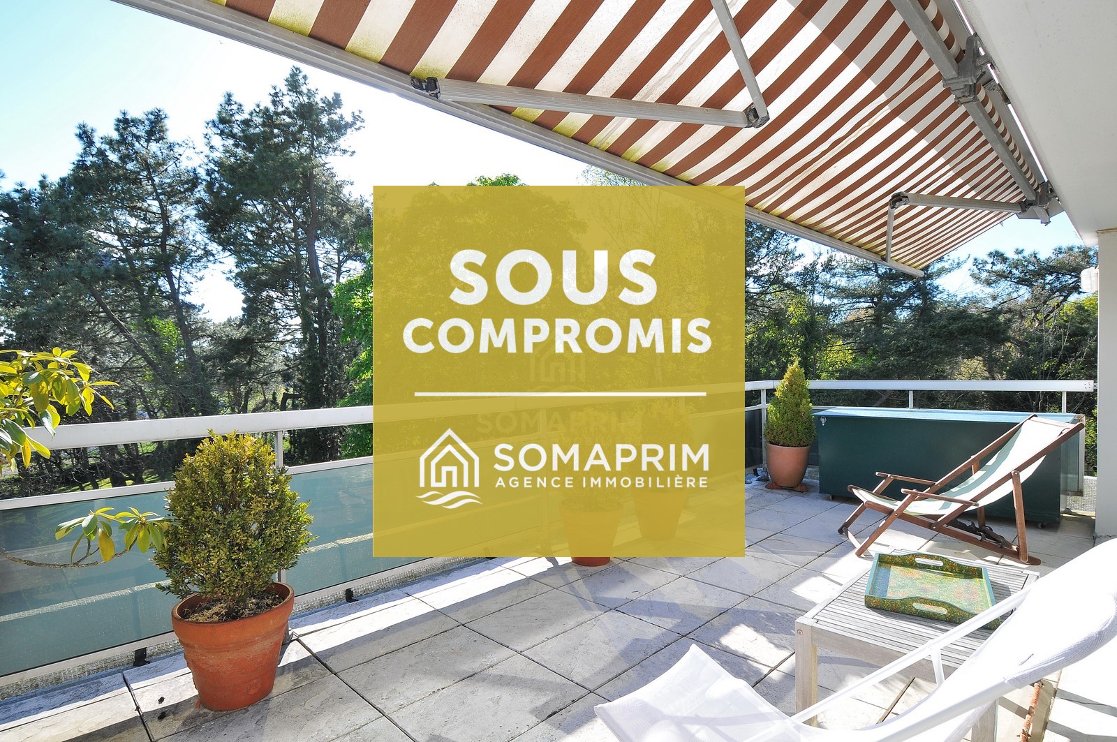Appartement Forêt : 8123>