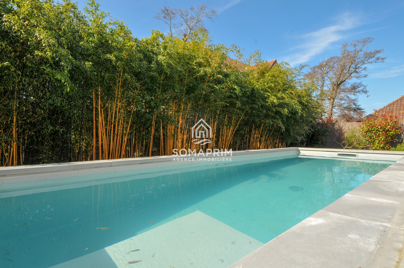 Agence Somaprim Touquet   DSC 4267 agence immobiliere somaprim touquet