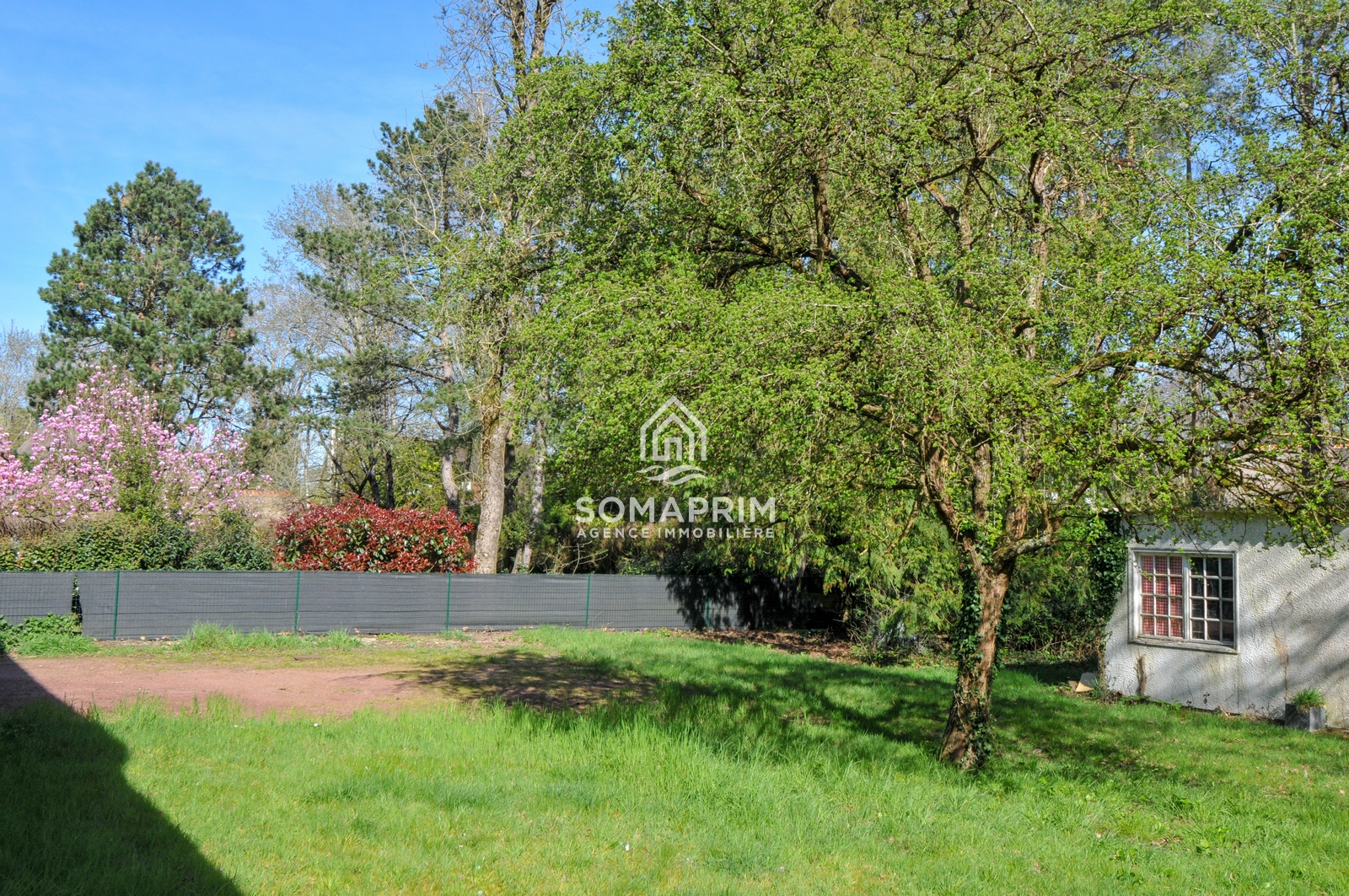 Agence Somaprim Touquet   DSC 4611 agence immobiliere somaprim touquet