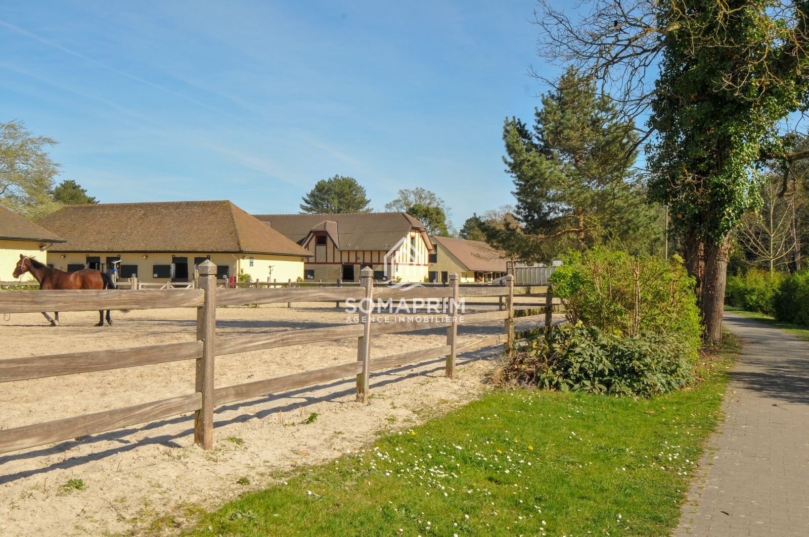 Agence Somaprim Touquet   DSC 4641 agence immobiliere somaprim touquet