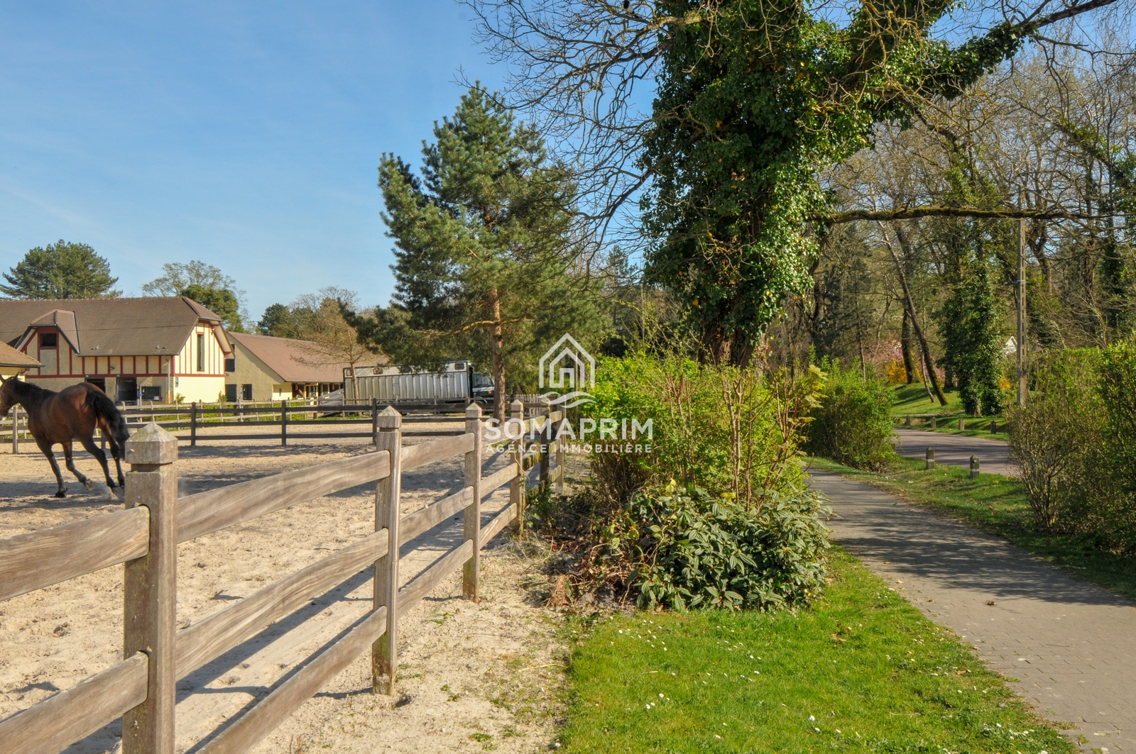 Agence Somaprim Touquet   DSC 4643 agence immobiliere somaprim touquet
