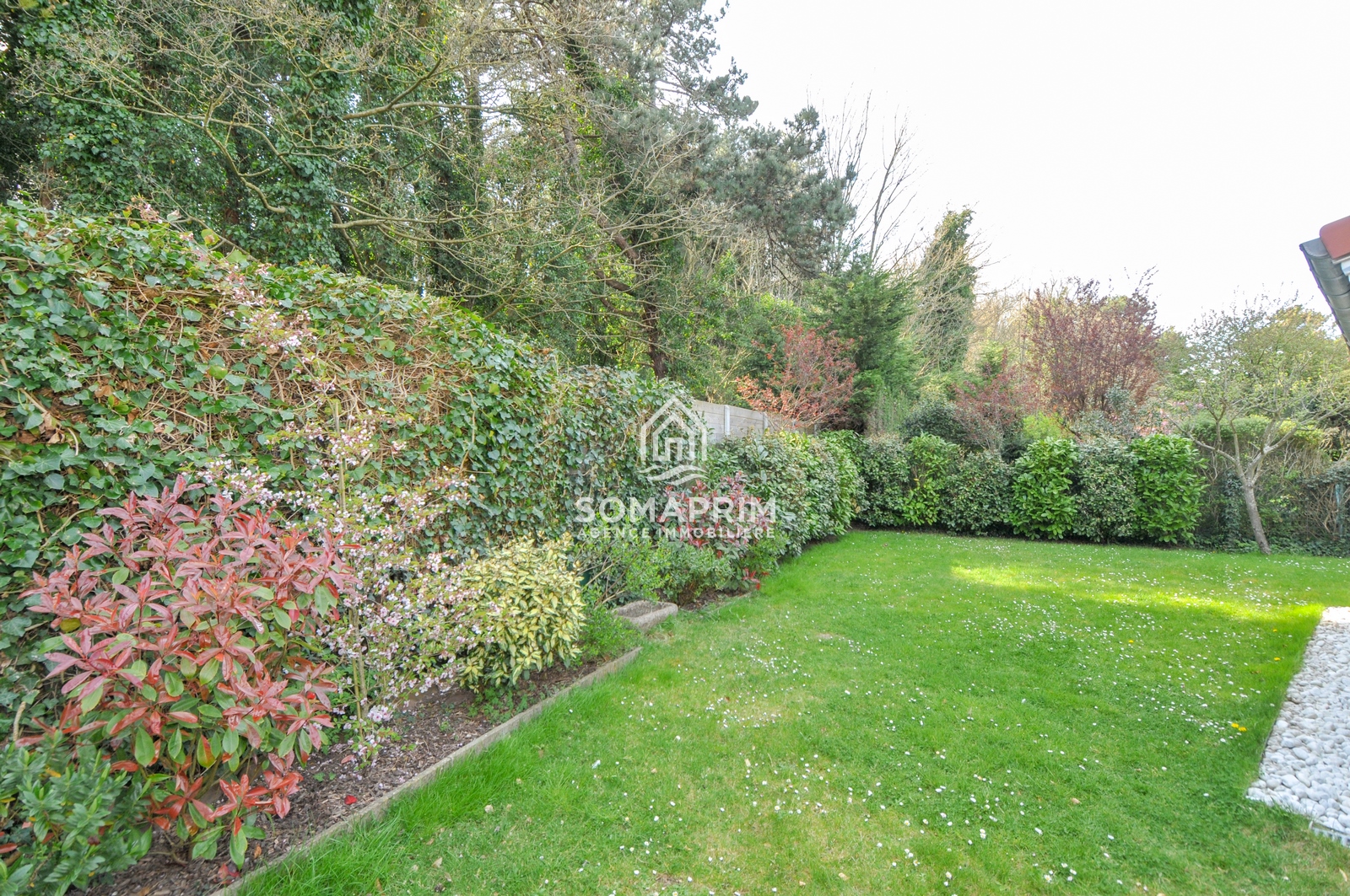 Agence Somaprim Touquet   DSC 4688 agence immobiliere somaprim touquet