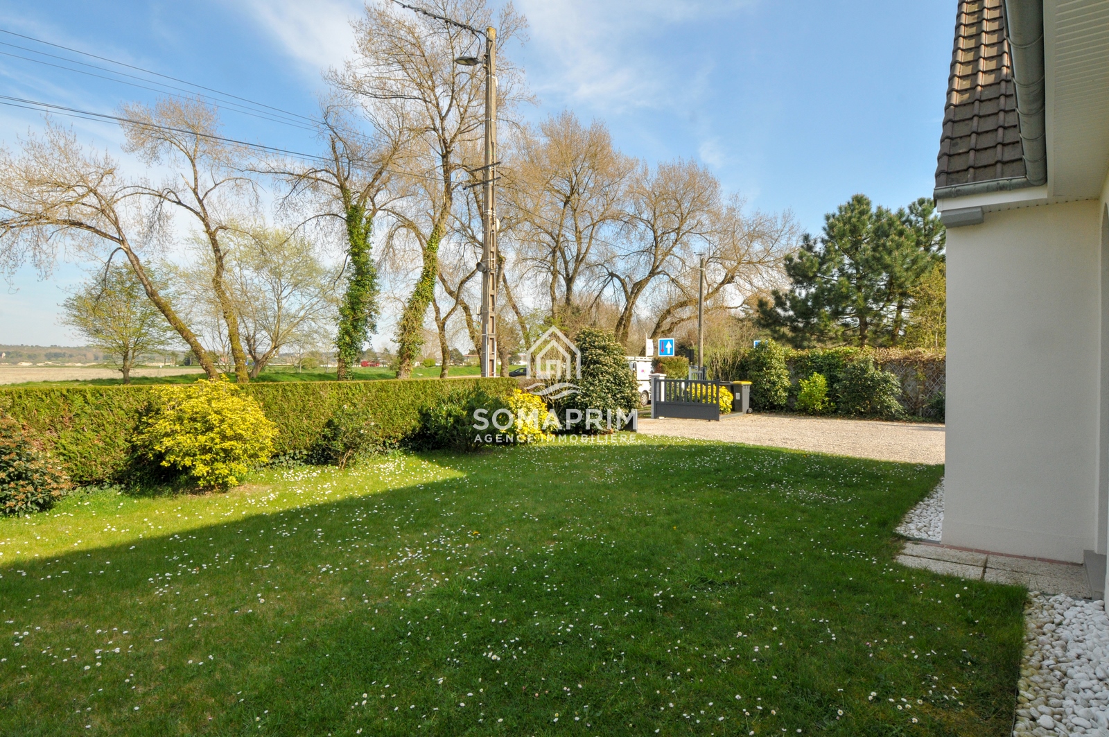 Agence Somaprim Touquet   DSC 4692 agence immobiliere somaprim touquet