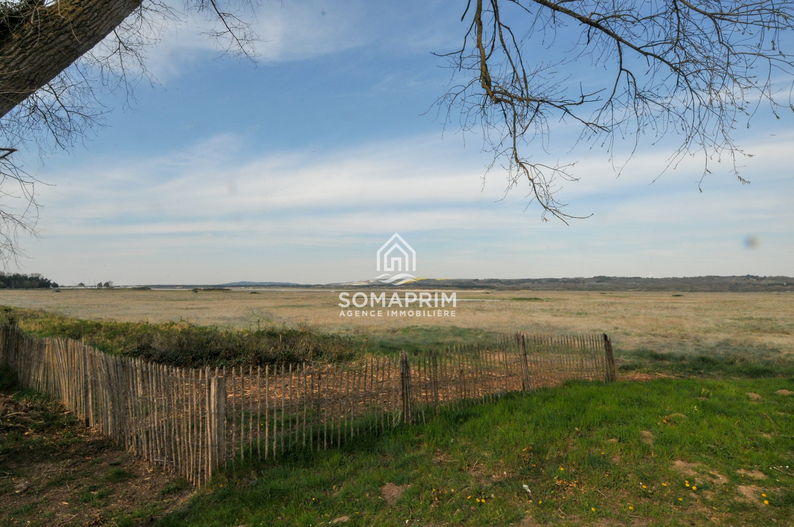 Agence somaprim touquet dsc 4730 agence immobiliere somaprim touquet 1745943190 1746021750